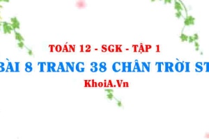 Bài 8 trang 38 Toán 12 Tập 1 Chân trời sáng tạo